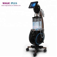 Big Promotion Vacuum Facial Skin Care Machine With Factory Price / Dermabrasion Machine Beauty Equipment